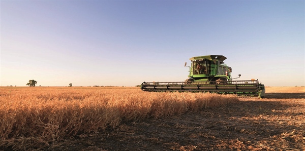 Agricoltura, PSR Emilia-Romagna 2021-2022:  oltre 160 milioni di euro per gli investimenti,  accolta la proposta della cooperazione